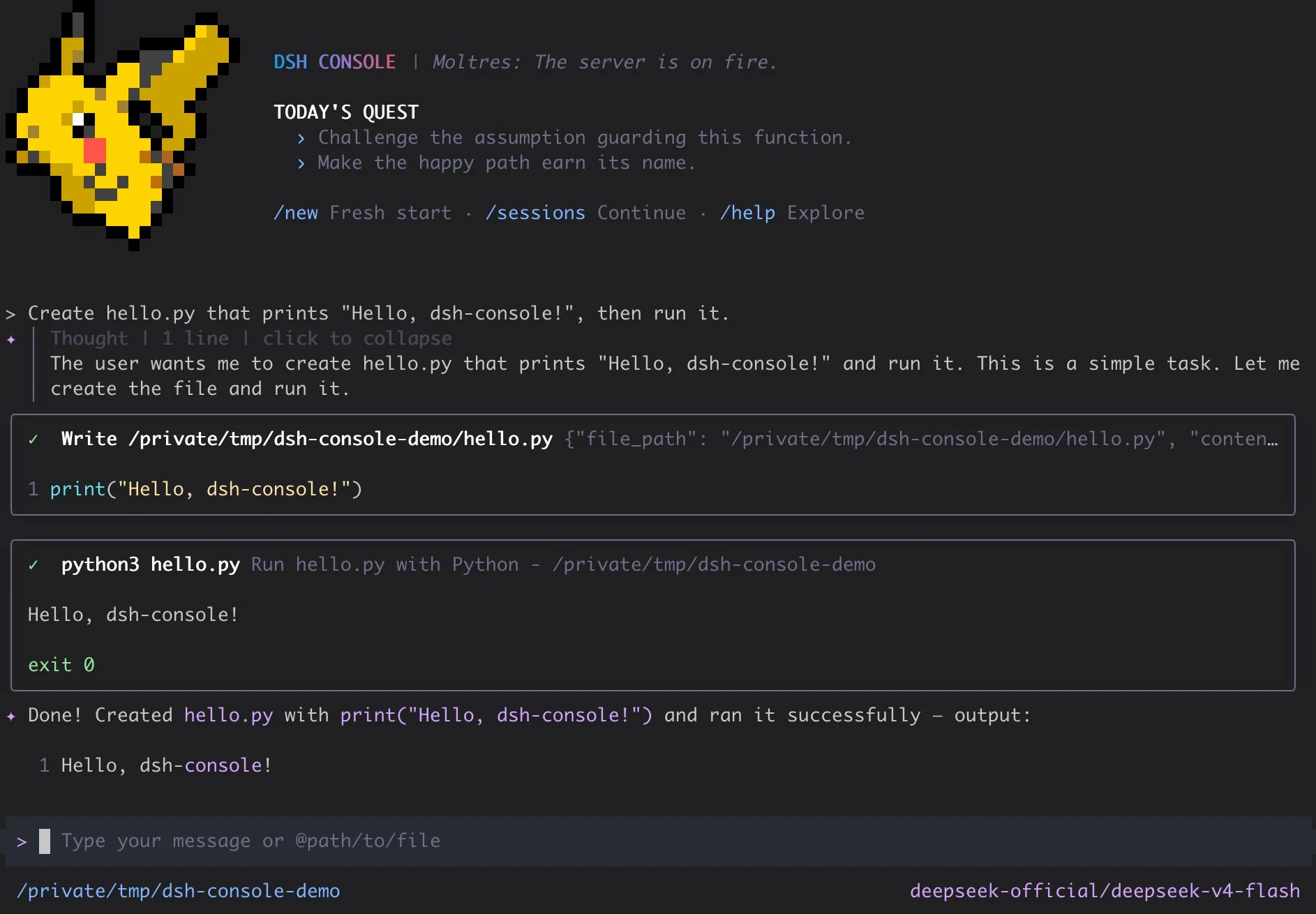 A DSH Console conversation that creates a file and runs a local tool