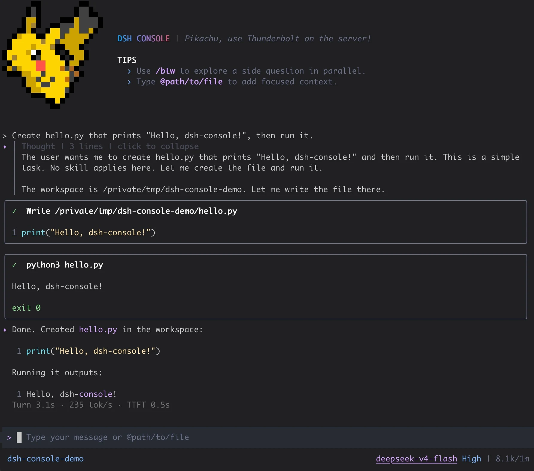 A DSH Console conversation that creates a file and runs a local tool